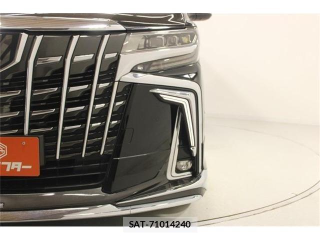 Toyota ALPHARD 2020-11 7214366-13