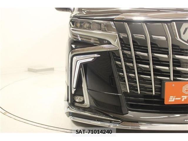 Toyota ALPHARD 2020-11 7214366-15