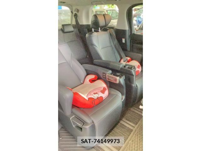 Toyota ALPHARD 2021-03 7325438-11