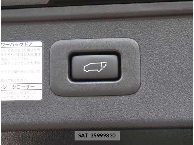 Toyota ALPHARD 2020-12 7325433-28