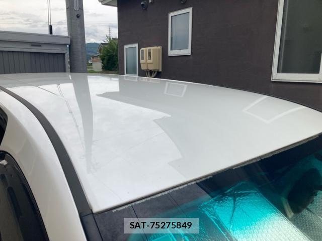 Toyota ALPHARD 2009-10 7356703-3