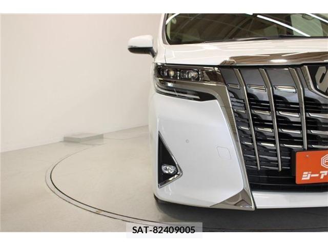 Toyota ALPHARD 2021-05 7499363-16
