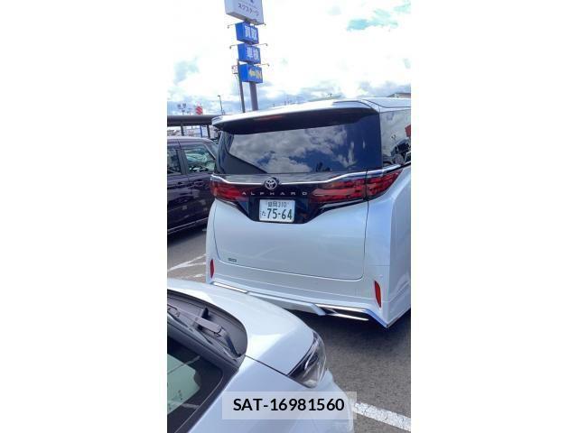 Toyota ALPHARD 2023-07 8334678-3