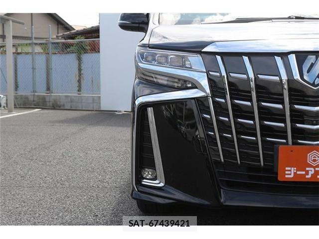 Toyota ALPHARD 2019-06 8456950-26