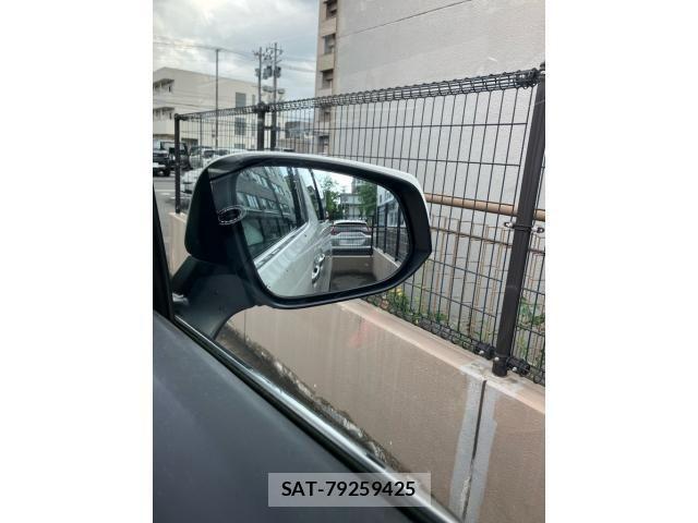 Toyota ALPHARD 2019-10 8523368-22