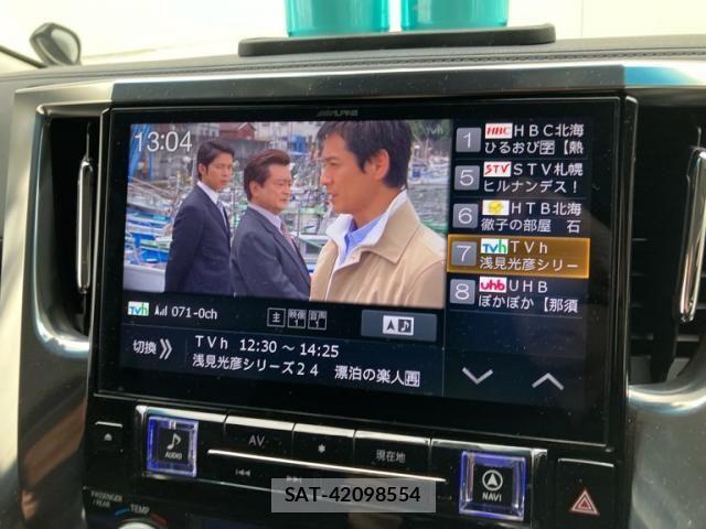 Toyota ALPHARD 2019-05 8740229-23