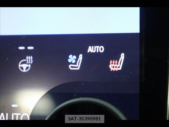 Toyota ALPHARD 2025-06 8827703-4