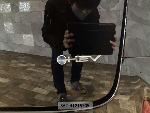 Toyota ALPHARD HYBRID 2024-01 6901620-18