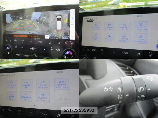 Toyota ALPHARD HYBRID 2024-06 7325451-27