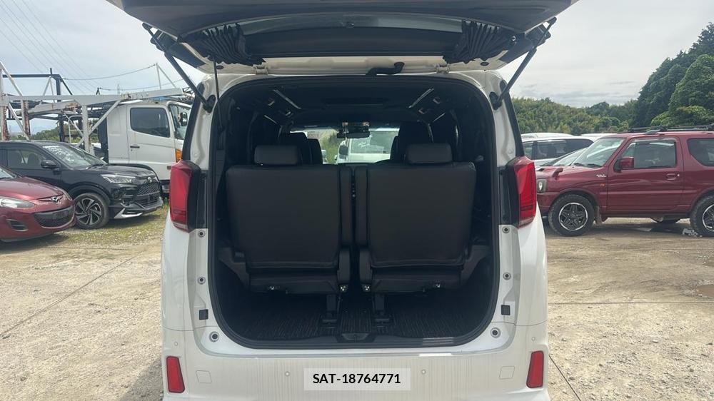 Toyota ALPHARD HYBRID 2021 6790205-24