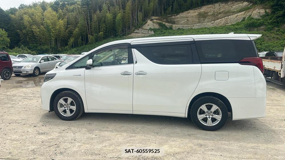 Toyota ALPHARD HYBRID 2020 7180514-1