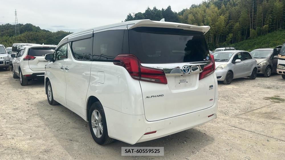 Toyota ALPHARD HYBRID 2020 7180514-2
