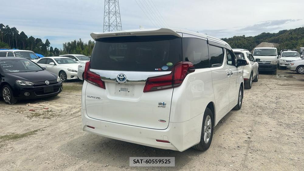 Toyota ALPHARD HYBRID 2020 7180514-4