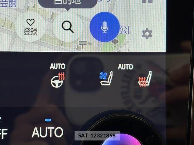 Toyota ALPHARD HYBRID 2024-07 7960393-10