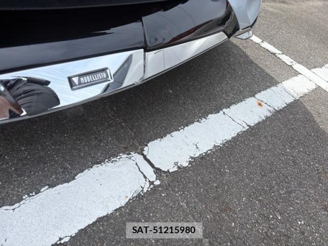 Toyota ALPHARD HYBRID 2026-01 8878552-6