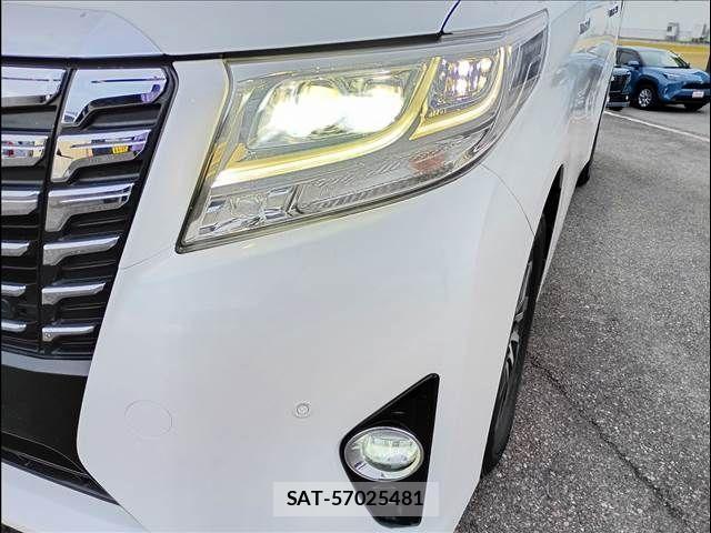 Toyota ALPHARD HYBRID 2017-03 2005782-24