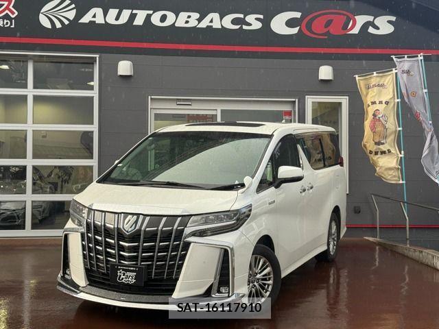 Toyota ALPHARD HYBRID 2019-11 2113871-0