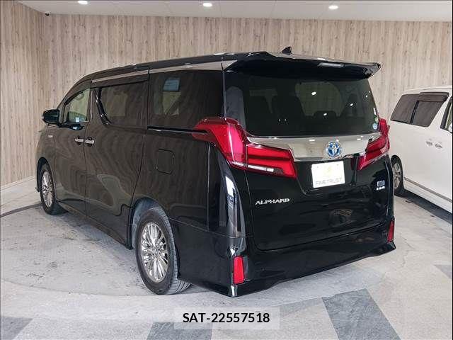 Toyota ALPHARD HYBRID 2018-11 4927487-19