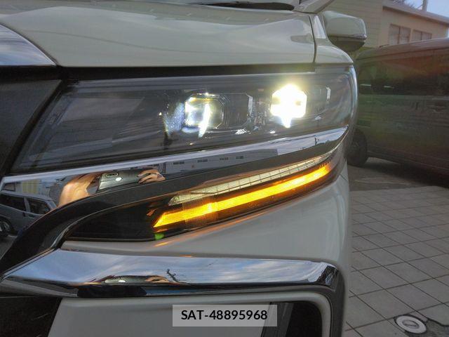 Toyota ALPHARD HYBRID 2019-03 5859877-10