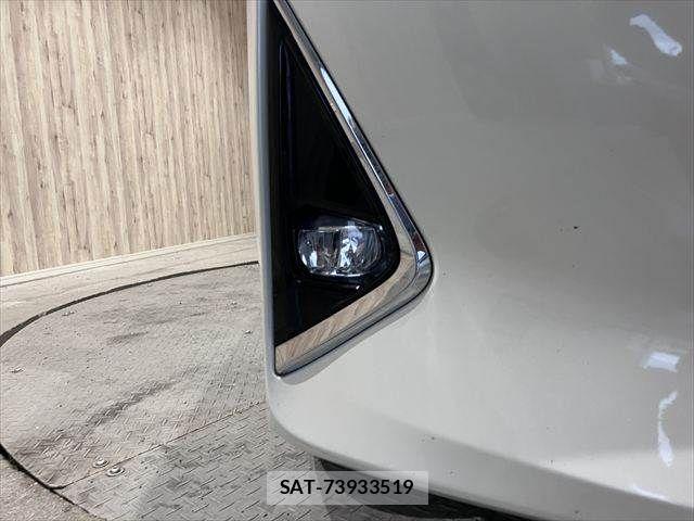 Toyota ALPHARD HYBRID 2018-03 6241856-28