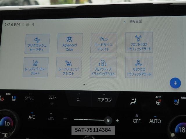 Toyota ALPHARD HYBRID 2024-10 6610347-28