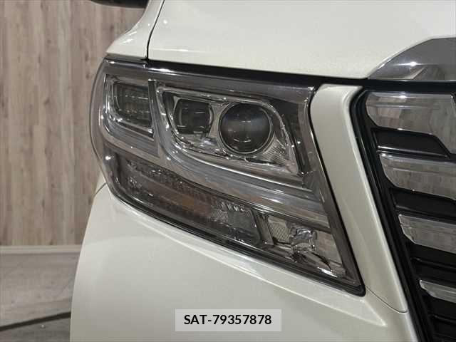 Toyota ALPHARD HYBRID 2017-02 6610361-28