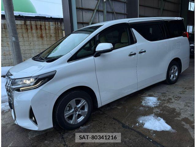 Toyota ALPHARD HYBRID 2021-08 6670066-10