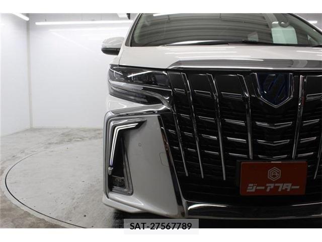 Toyota ALPHARD HYBRID 2020-03 7249506-10