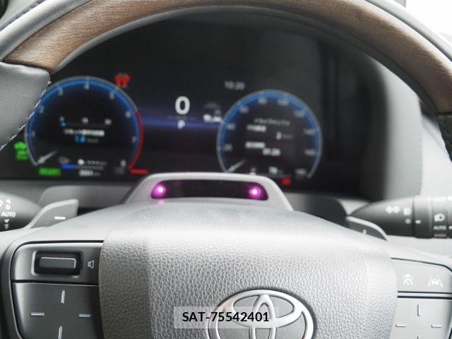 Toyota ALPHARD HYBRID 2025-03 7325476-27