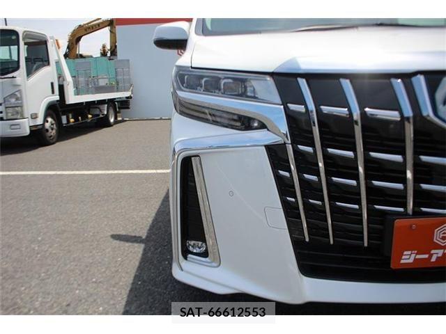 Toyota ALPHARD HYBRID 2019-04 7499396-23