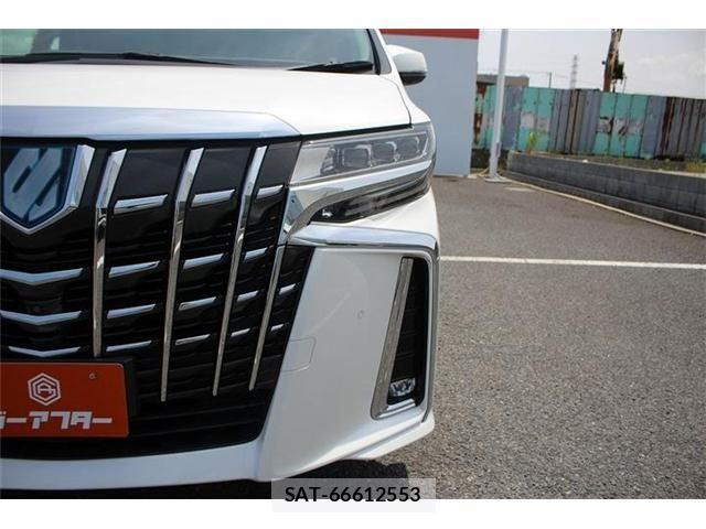 Toyota ALPHARD HYBRID 2019-04 7499396-26