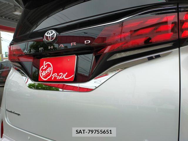 Toyota ALPHARD HYBRID 2025-04 8034298-20