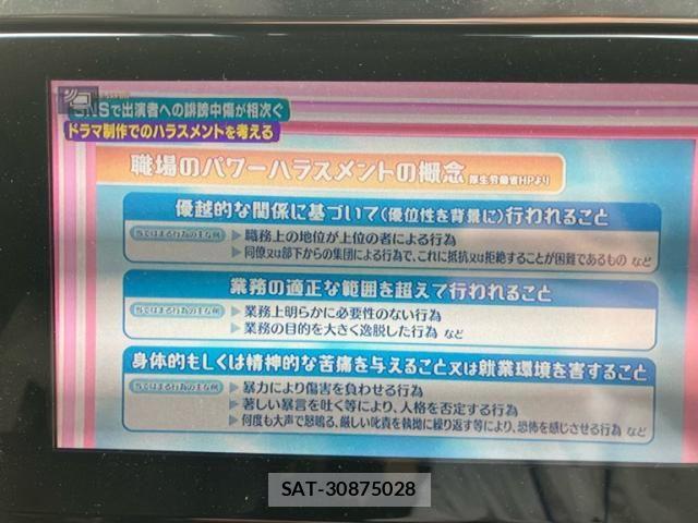 Toyota ALPHARD HYBRID 2019-02 8034306-27