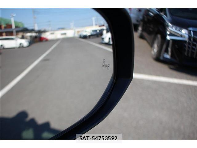 Toyota ALPHARD HYBRID 2021-05 8128758-17