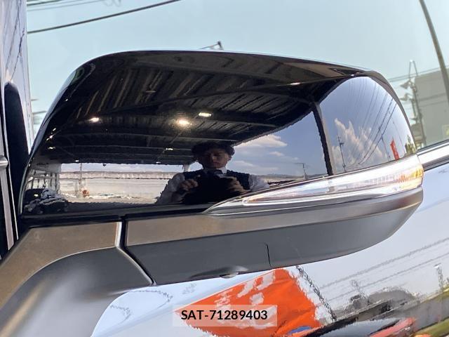 Toyota ALPHARD HYBRID 2020-09 8334707-4