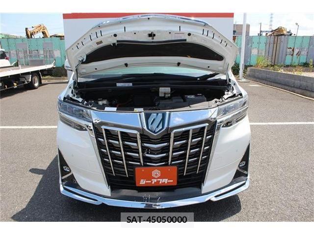 Toyota ALPHARD HYBRID 2018-11 8371405-29