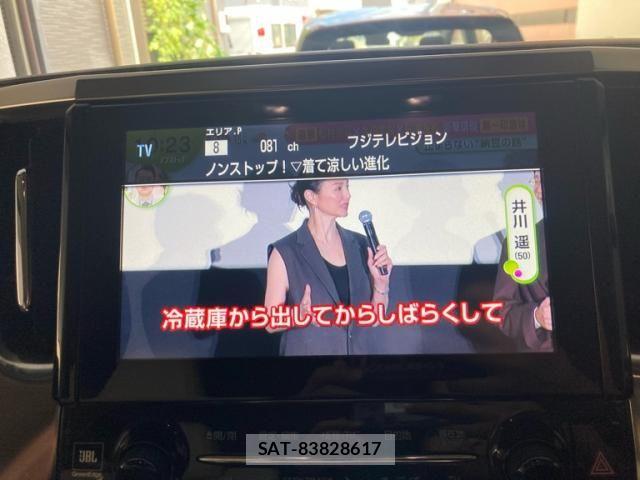Toyota ALPHARD HYBRID 2016-03 8411111-18