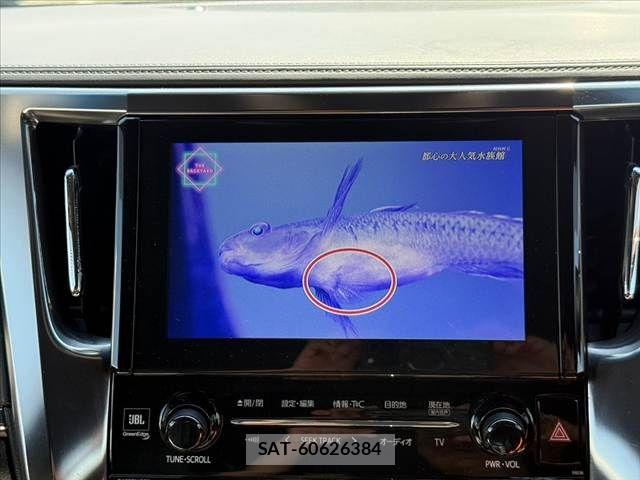 Toyota ALPHARD HYBRID 2016-12 8625703-23
