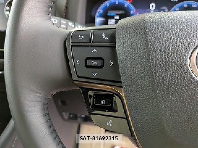 Toyota ALPHARD HYBRID 2025-02 8740257-15