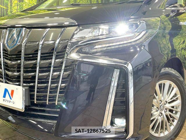Toyota ALPHARD HYBRID 2019-03 8795185-12