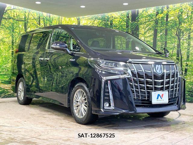 Toyota ALPHARD HYBRID 2019-03 8795185-16