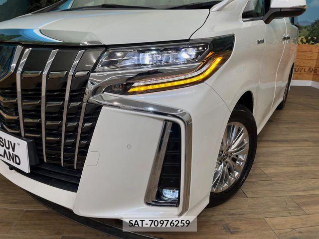 Toyota ALPHARD HYBRID 2019-10 8827715-14