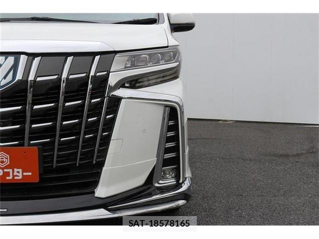 Toyota ALPHARD HYBRID 2018-11 8878569-12