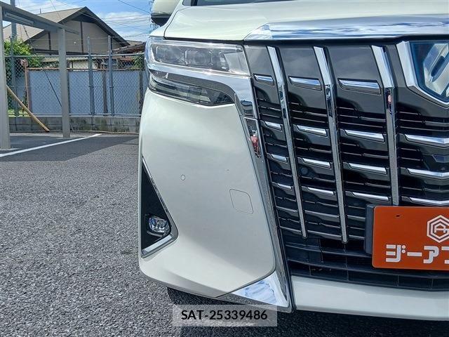 Toyota ALPHARD HYBRID 2018-12 8878576-25