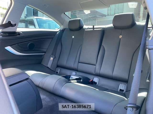 Bmw Alpina D4 2015-10 7325506-18