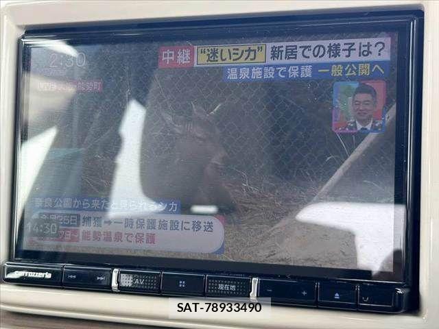 Suzuki LAPIN 2019-09 5859979-4