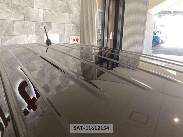 Suzuki LAPIN 2021-09 6901817-10