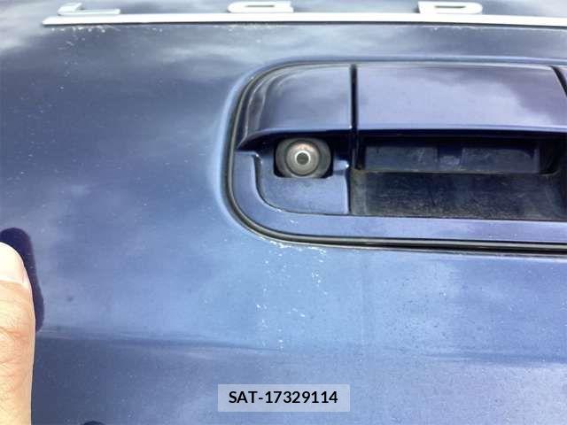 Suzuki LAPIN 2019-07 6901816-14