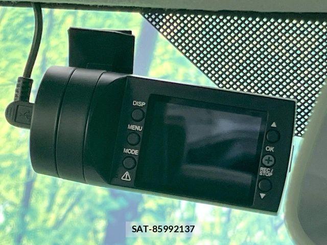 Suzuki LAPIN 2019-06 7214598-6