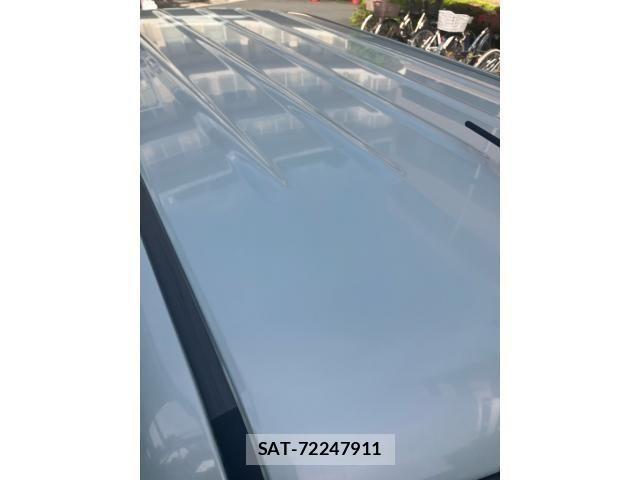 Suzuki LAPIN 2011-01 7214548-8